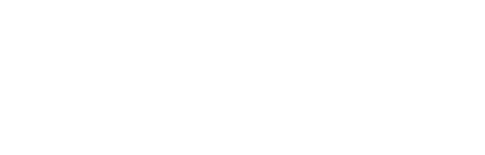 Revlon Professional
